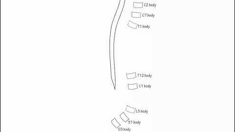 Spinal Canal - Draw it to Know it - Neuroanatomy Tutorial