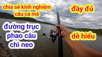chia sẻ kinh nghiệm câu cá mè. cách chọn phao, chì neo, dây trục cho ae mới tập câu hiệu quả