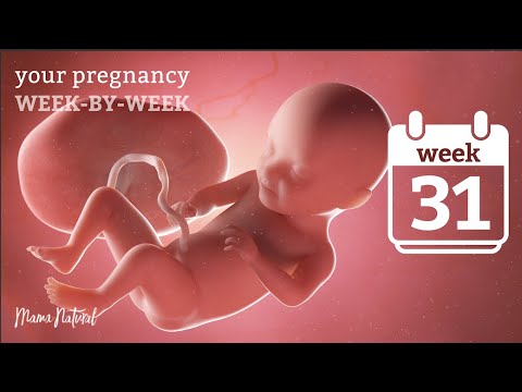 Video: 31 Weeks Of Pregnancy: Sensations, Fetal Development