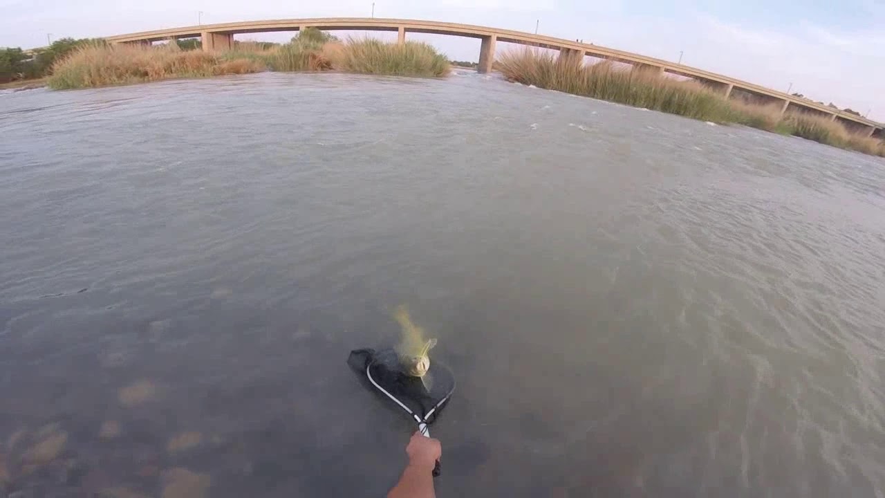 Fly fishing for smallmouth yellow fish in the orange river YouTube
