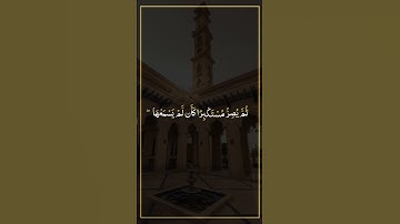 آيات من سورة الجاثية بصوت القارئ ياسر الدوسري 🫀🎧