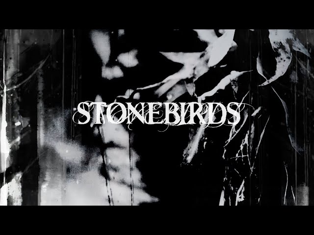 StoneBirds - Collapse and fail