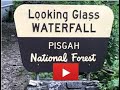 Looking Glass Falls and Moore Cove ~ Pisgah National Forest - Brevard, NC