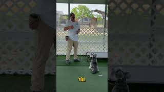 "Dog Training: Stop Barking, Jumping, and Out-of-Control Behavior Fast! "