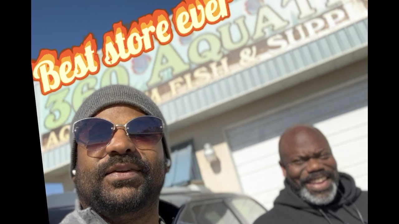 I visited one of Houston's BEST Local Fish Stores! 360 Aquatic! YouTube