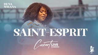 Dena Mwana - SAINT ESPRIT (Live with Lyrics)