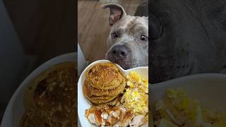 Cooking My Dog Pumpkin Pancakes For Pumpkin Season  #shorts #viral