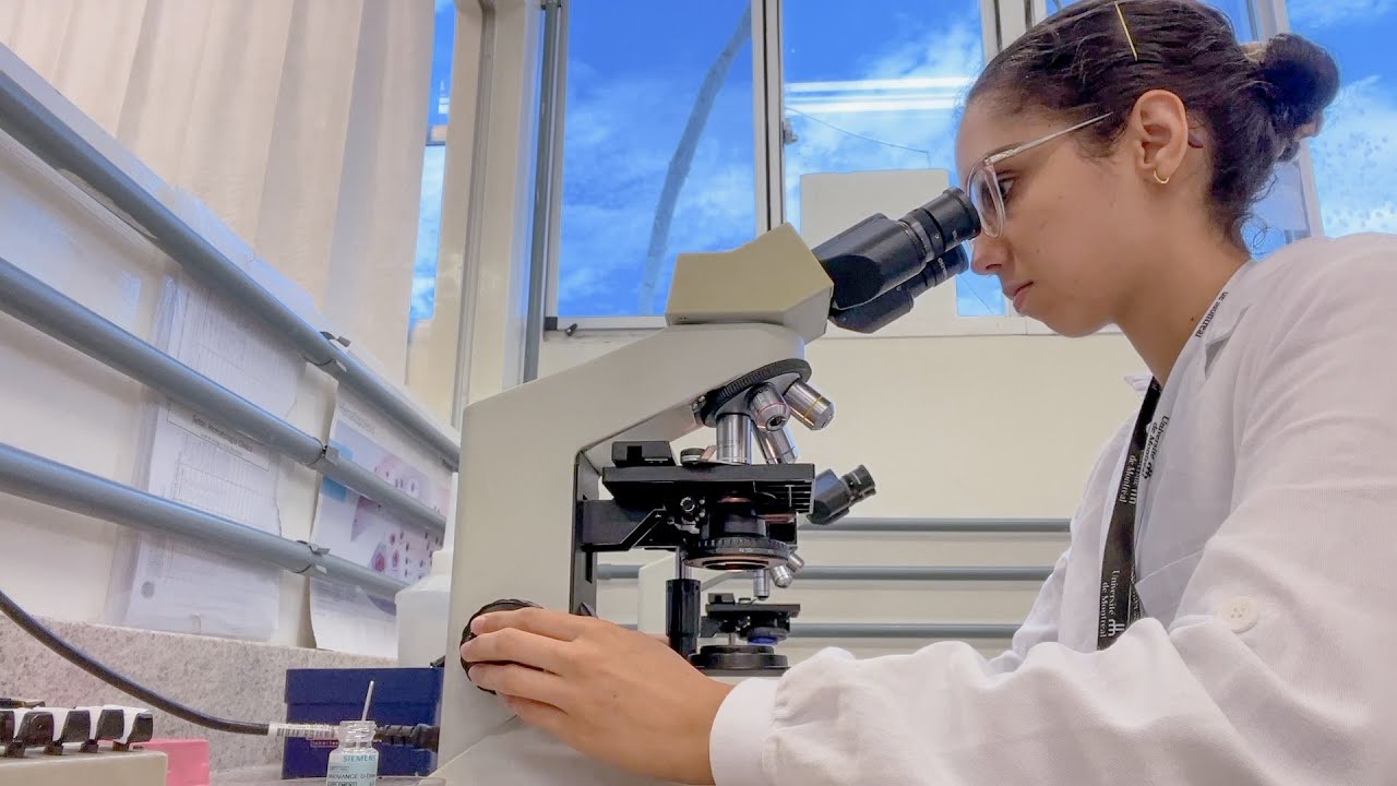 uma semana no estágio - estudante de farmácia ufsc - vlog