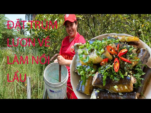Video ĐẶT TRÚM LƯƠN VỀ NẤU LẨU HOA CHUỐI THẬT NGON CÙNG GIA... - youtube