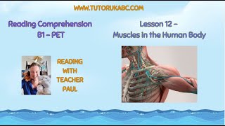 Reading Comprehension - B1 - Lesson 12 - Muscles in the Human body
