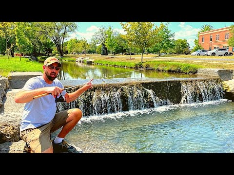 Video: Бул бакаларга келген жок. Rotten Creek Fishing