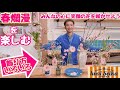 お花の上手な飾り方•楽しみ方  春爛漫【ピンクセット】どっさり‼️編