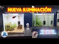 Nueva iluminacion para los acuarios