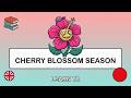 🇬🇧→🇹🇷 Learn Turkish - Cherry Blossom Season