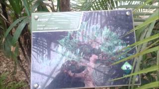 Grup Amatör Tekrar Sev Beni Resimi