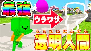 【脱獄ごっこ】すごい裏ワザ！だれもみえない透明ニンゲンは最強すぎてヤバいwww