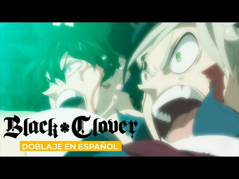 Asta & Yuno
