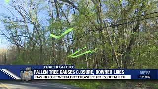 Portion of Day Road closed due to fallen tree, downed utility lines