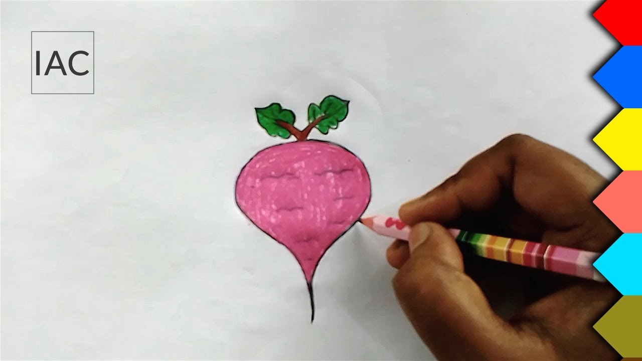 Beetroot Drawing How to draw an awesome beetroot step by step? YouTube