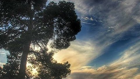 في قلوبهم مرض فزادهم الله مرضا ولهم عذاب أليم بما كانوا يكذبون #سورة_البقرة #وصف_المنافقين