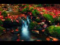 Relaxing music for meditation, yoga, and sleep#healingmusic#anxietyrelief#soulmusic#calmmusic