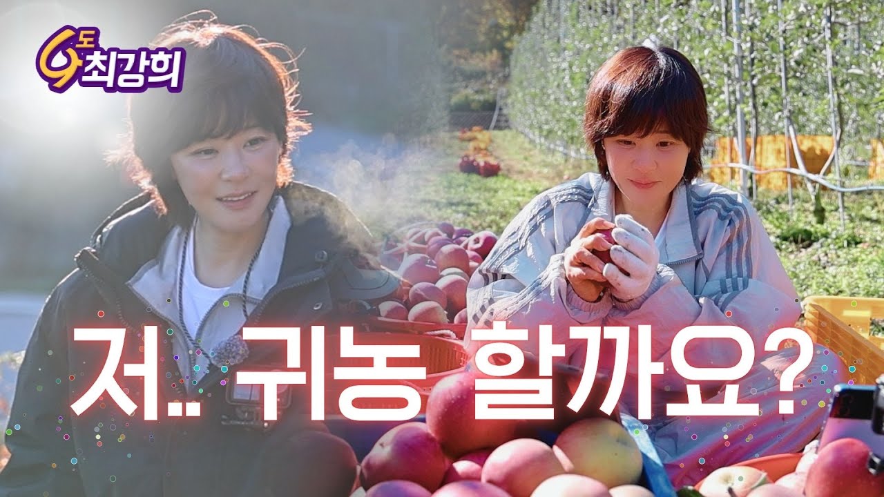 사과 농사합니다! 진짜 이렇게 먹어보세요👍(feat.장바구니 재활용 꿀팁)