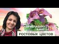 Приглашаю в мир ростовых цветов и фомфлористики! Цветы из изолона, фоамирана. DIY