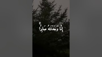 إنا وجدناه صابرا نعم العبد إنه أواب القارئ رعد الكردي
