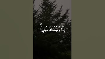 إنا وجدناه صابرا نعم العبد إنه أواب القارئ رعد الكردي