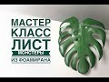 Как сделать лист монстеры из фоамирана / DIY monstera leaf / Сomo fazer uma folha de monstera