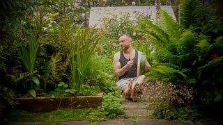 Rhythms of Nature In My Vibrant London Garden