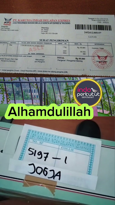 terimakasih sahabat kung mania #perkutut #perkututbangkok #shorts