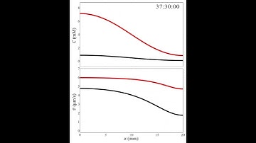 Movie 2: Simulation of a one-dimensional Fick’s law-based model