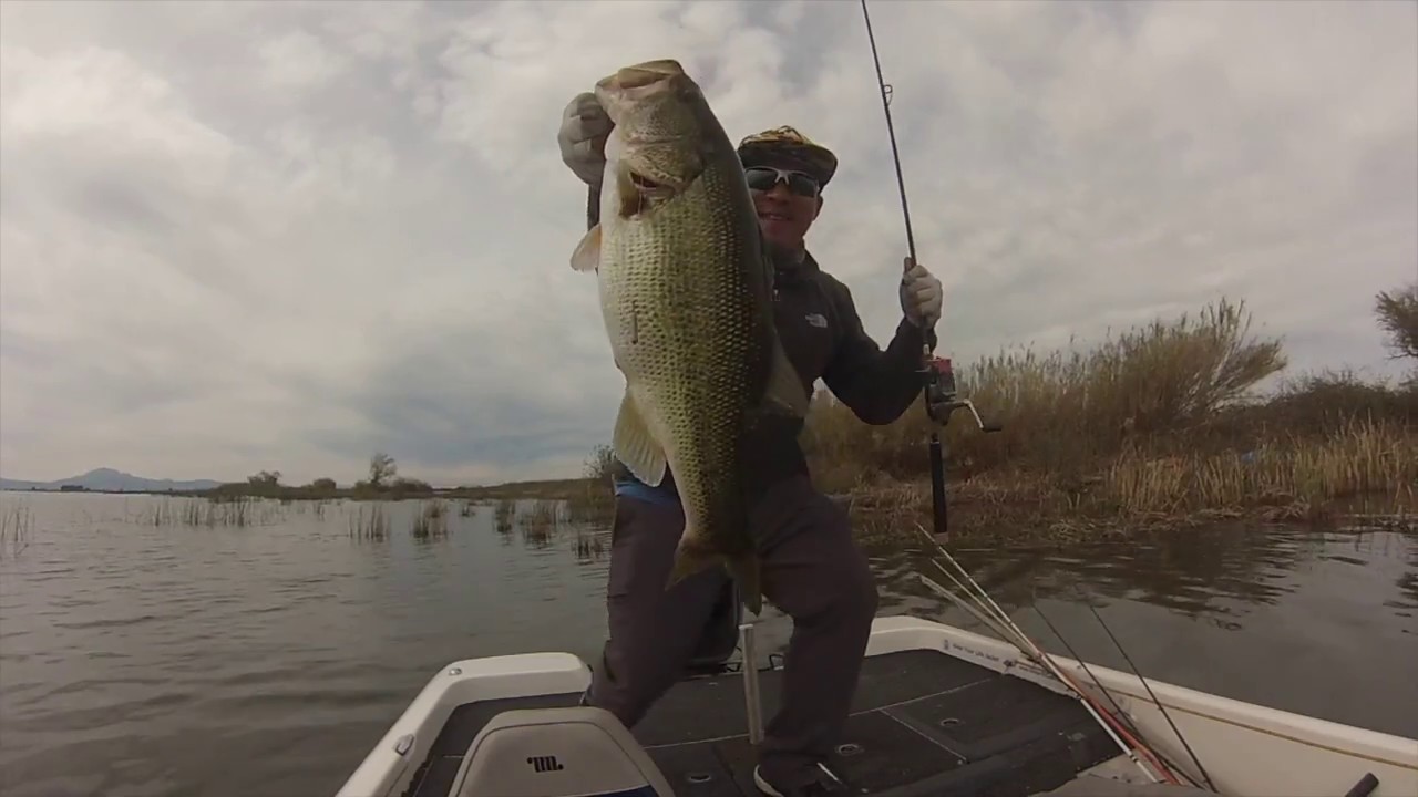 Ca Delta Bass Fishing YouTube