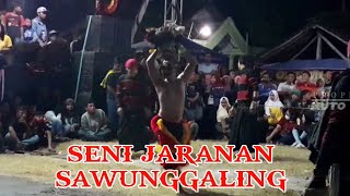 Banteng Suro Ndadi || Jaranan SAWUNGGALING Live Kincang Wetan