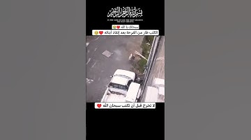 والله بصير بما تعملون 🥹♥️ القارئ عبدالله علي || #short #quran #القارئ_عبدالله_علي قرآن كريم تلاوة