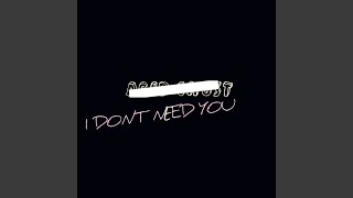 I Don&#39;t Need You