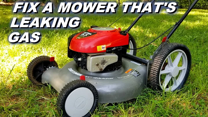 Is your mower leaking gas?