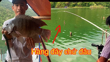 Đa Mi- chuyến săn hàng cuối năm. (Phần cuối). Đụng độ cá Phi khủng.(Big Tilapia) Fishing like that.