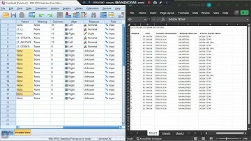 PROGRAM SPSS. Pengolahan Dengan SPSS dan Penyajian Data (Latihan 2)