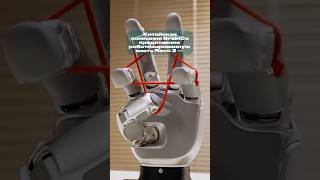 Роботы обретают чувствительность — роботизированная кисть Revo 3 от китайцев BrainCo