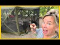Is this Screen Tent (Clam Quick Set Escape) WORTH THE MONEY? ➡️ Owners TELL ALL!