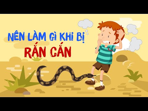 Video: Cách Tránh Bị Rắn Tấn Công