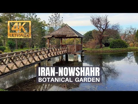 Иран 2021 | Ботанический сад Ношахр | пешеходная экскурсия 4к