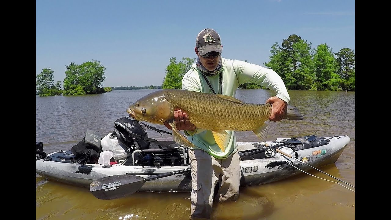 **3-TIPS** - How to catch Grass Carp on the Fly - YouTube