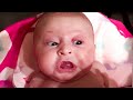 Funny Baby Videos: Ultimate Try Not To Laugh Challenge | BABY BROS