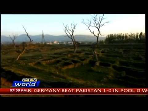 PTV World Live Stream