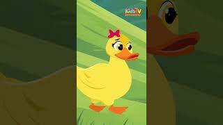 5 Little Duckslearn Colors Song