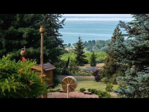 Video: Vale la pena visitare il lago Balaton?