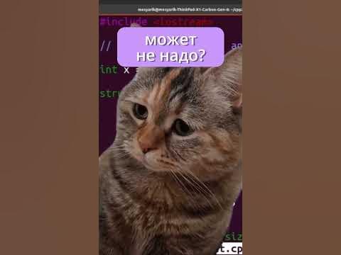 пов: учишься кодить - YouTube